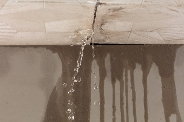 Professional Water Damage Repair technician working in Shallowater, TX